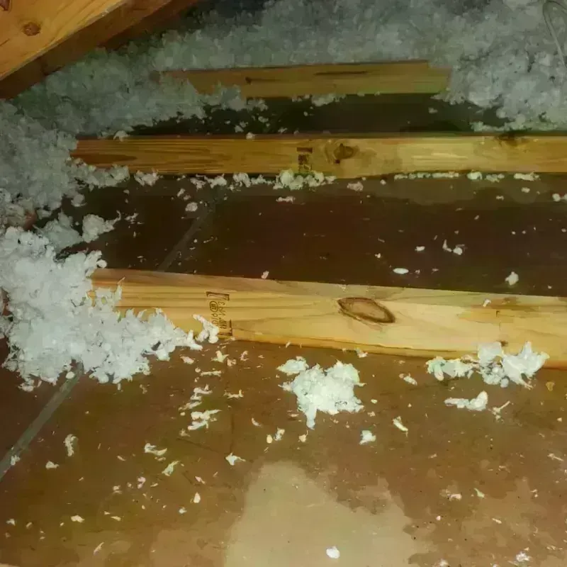 Attic Water Damage in Cary, NC