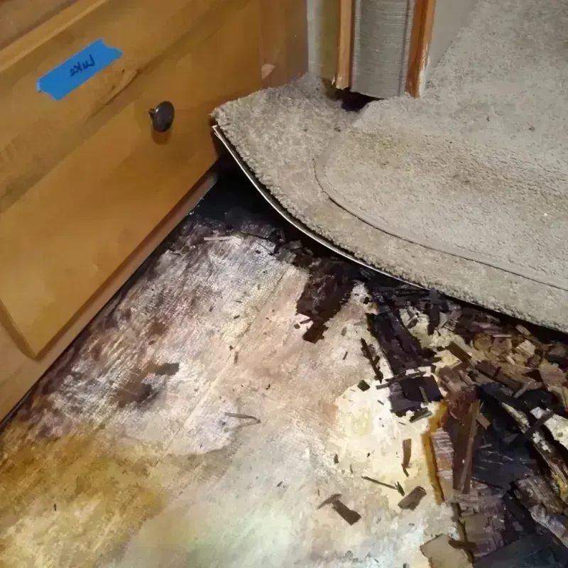 Wood Floor Water Damage in Cary, NC